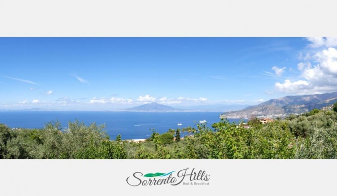 Sorrento Hills