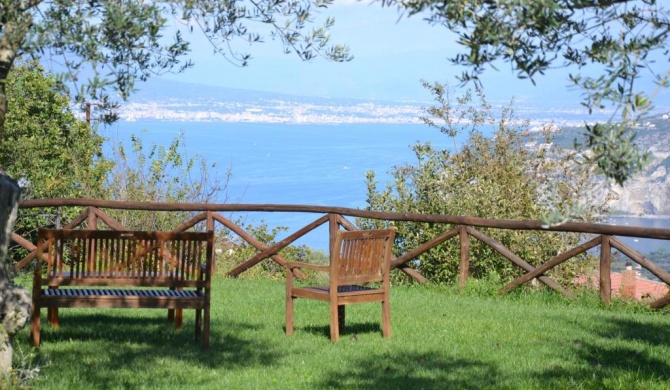 Sorrento View