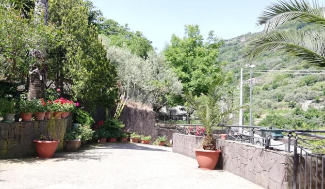 IL GIARDINO (The garden)
